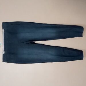 Jaclyn Smith Dark Blue Jeggings Size XXL